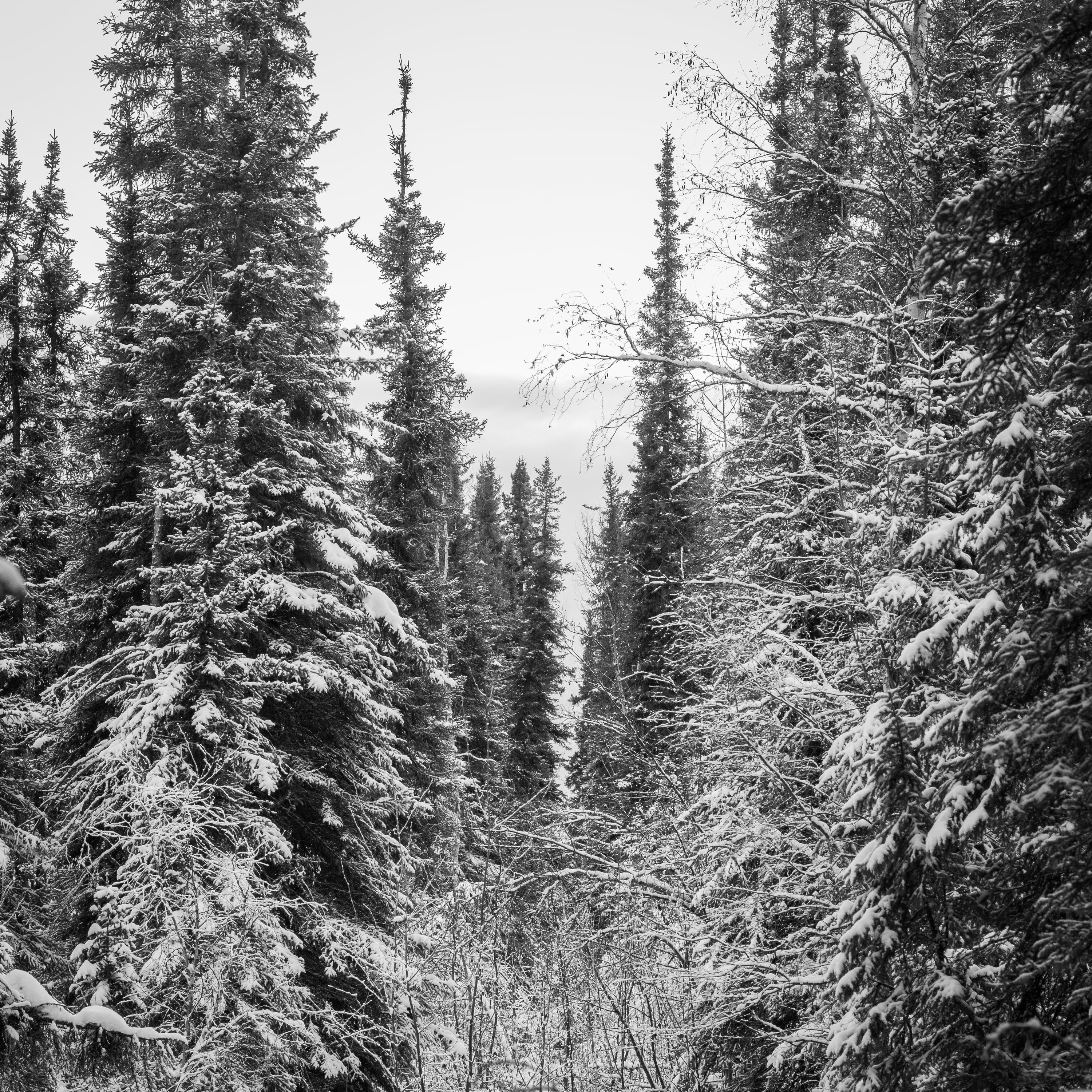 Landscape album cover