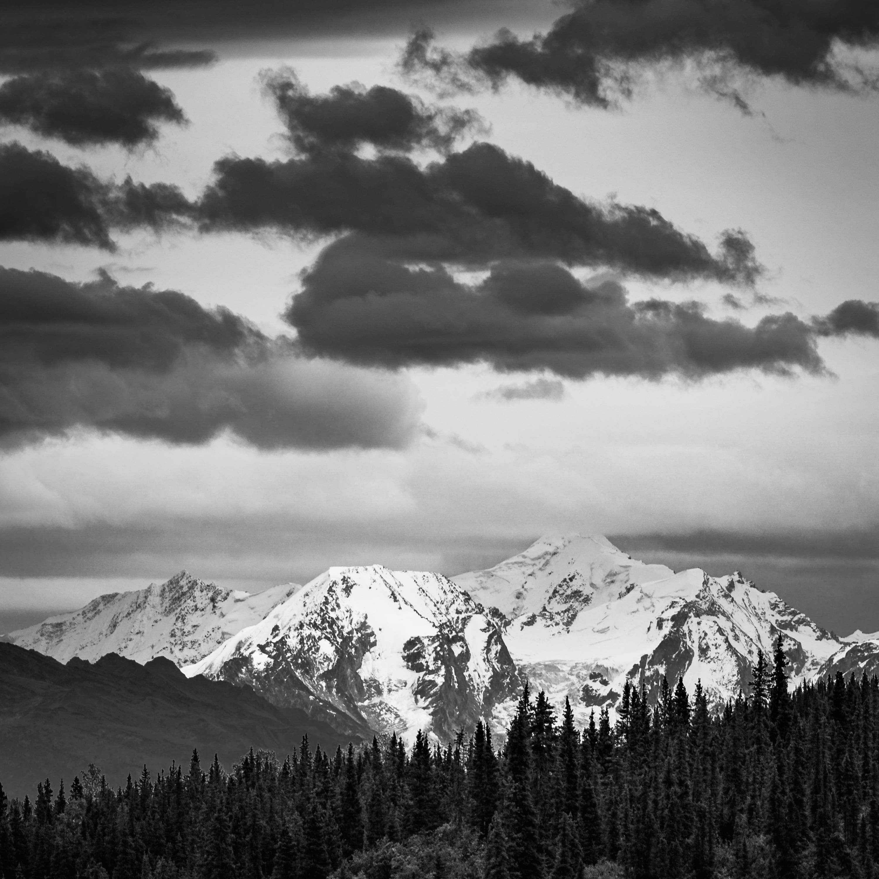 Denali Park