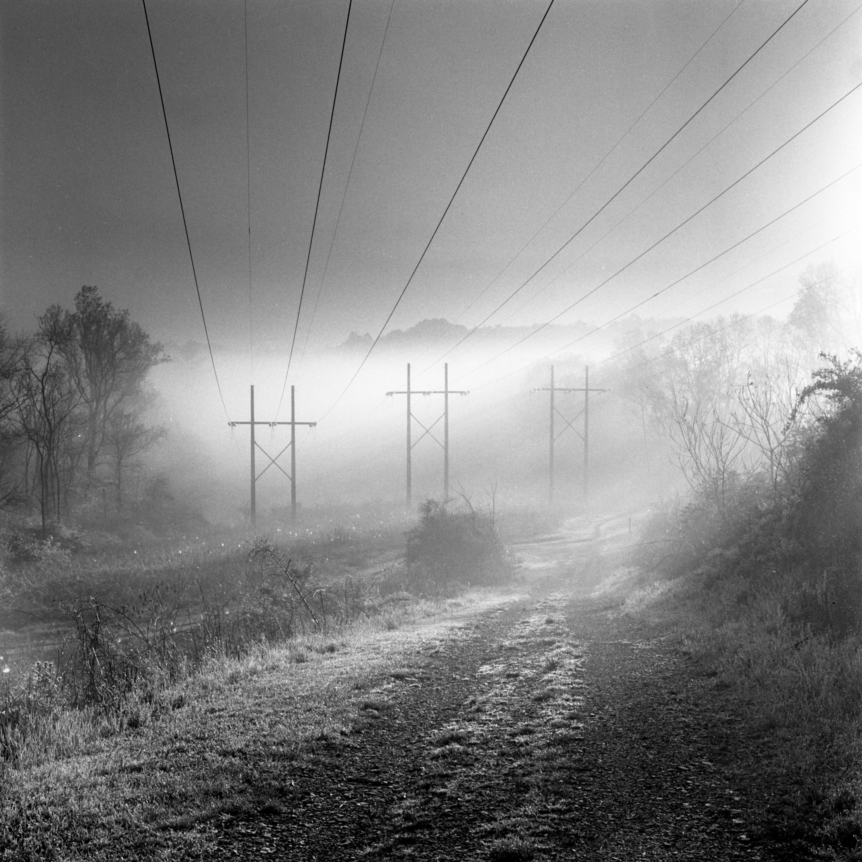 Power lines in morning fog